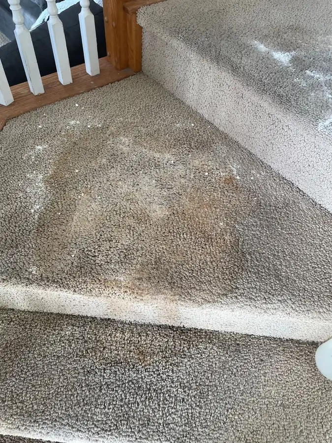 A soiled stair landing before a DanCare visit, a condition photograph rather than finished work